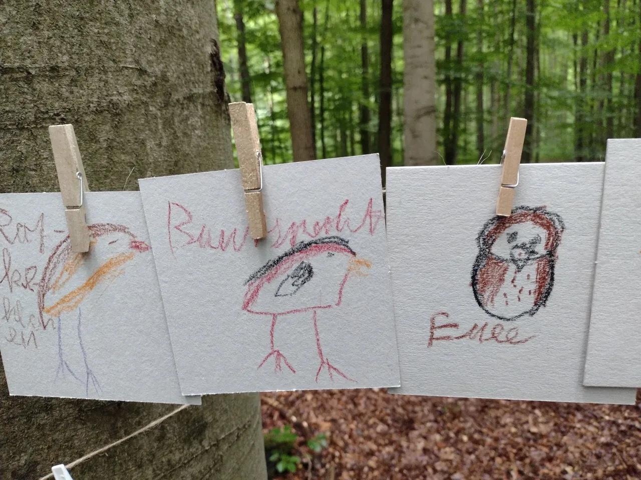 Schatzkiste Natur - Foto Museum Schloß Burgk
