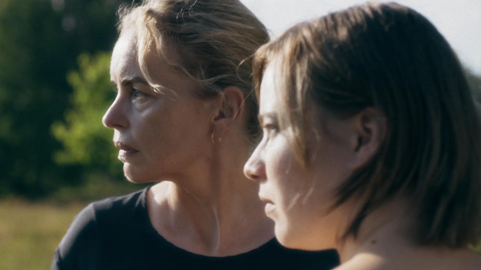 01_Zikaden_c_JudithKaufmann_LupaFilm