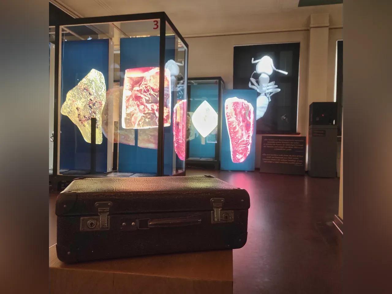 Rätselkoffer in der Sonderausstellung "Electrum mundi - Bernsteinwelten"