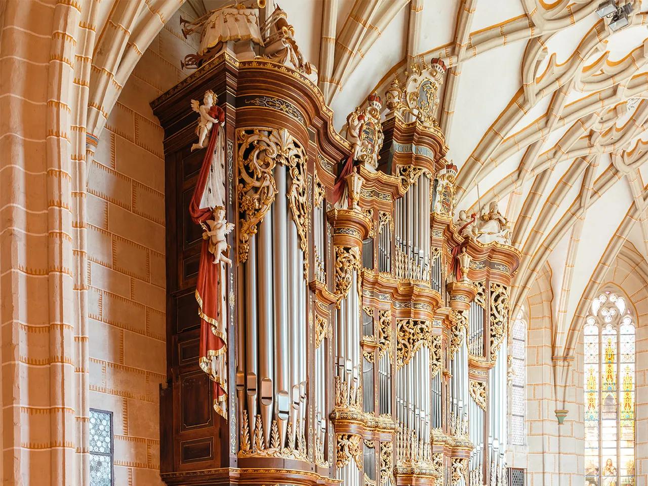 Trost-Orgel in der Schlosskirche des Residenzschlosses Altenburg, Foto_Marcus Glahn, Schatzkammer Thüringen
