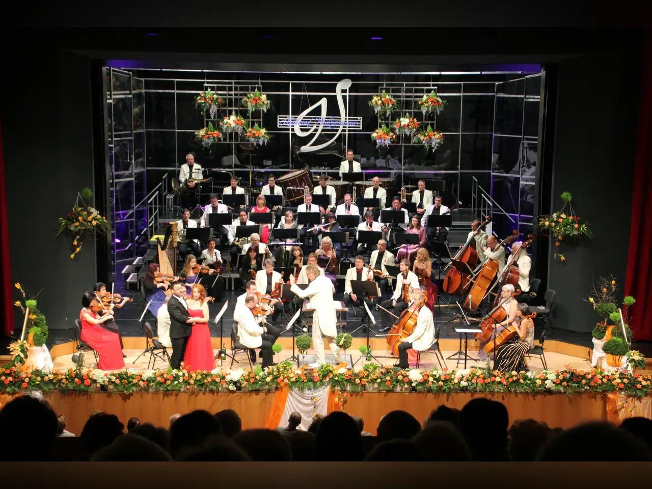 Reichenbach_Neujahrskonzert_3__Foto_Vogtland_Philharmonie_