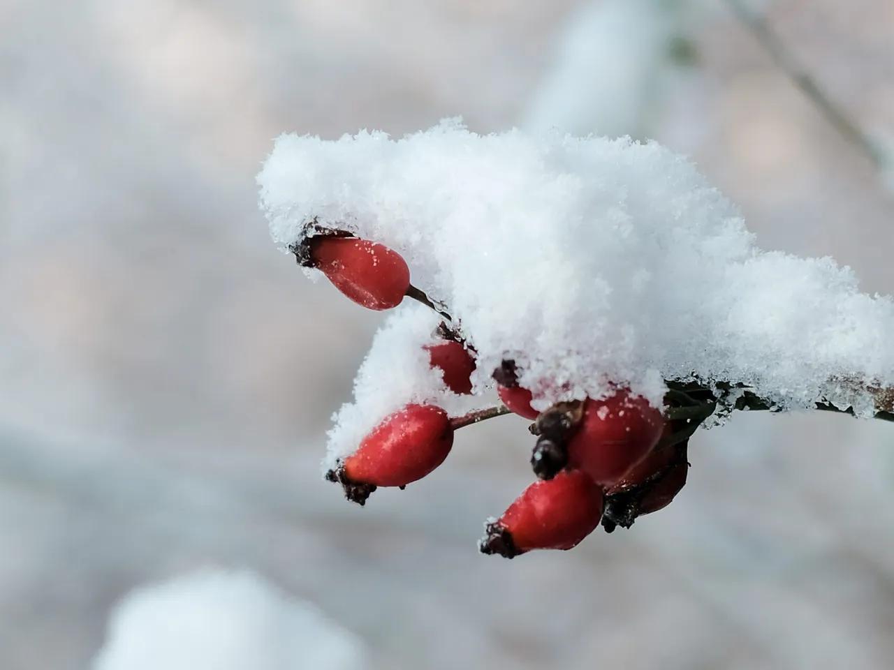 Winter Hof 19