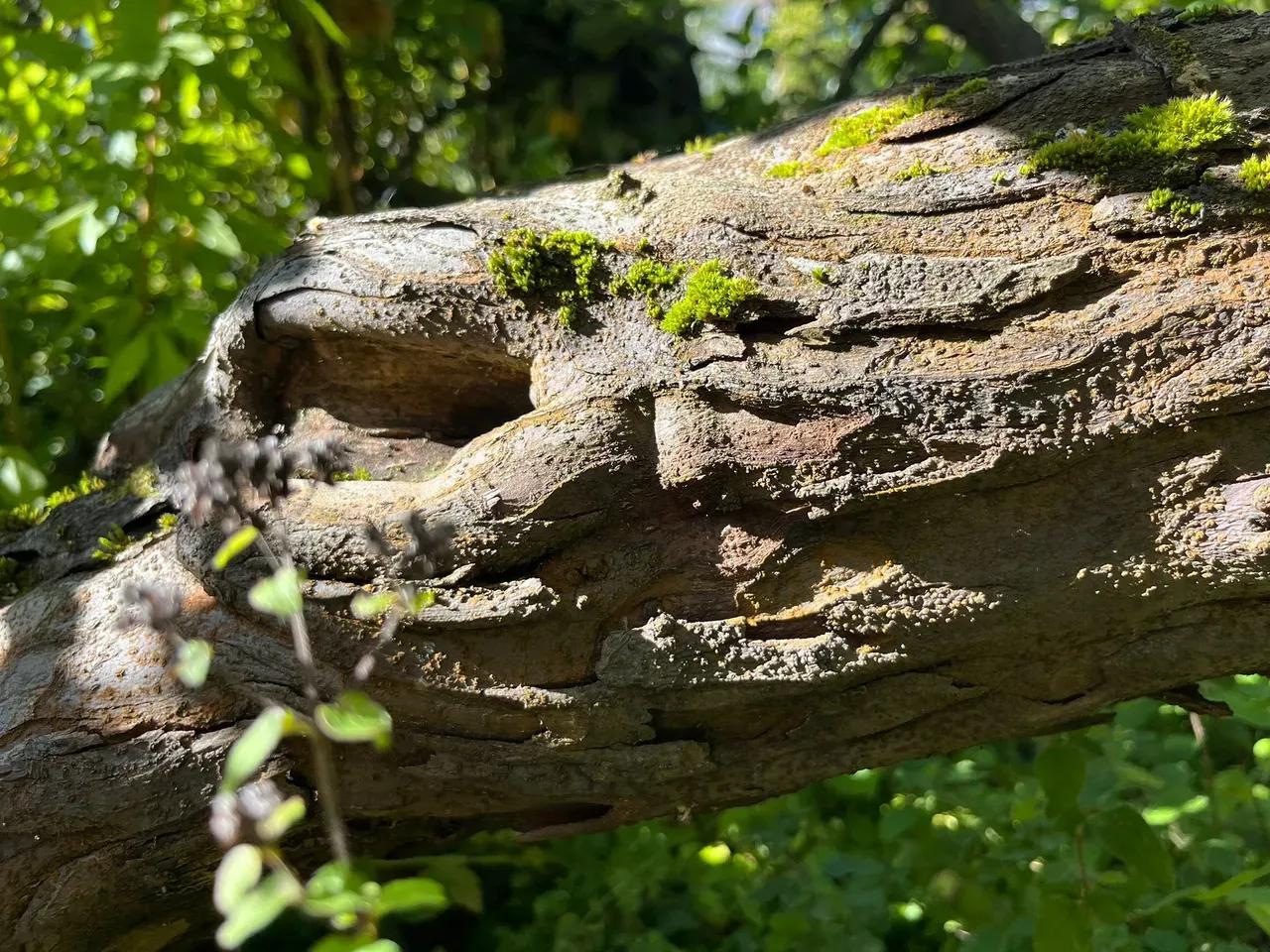 393dbb64-4106-40ac-9ee0-3e85c70916d4-jpg