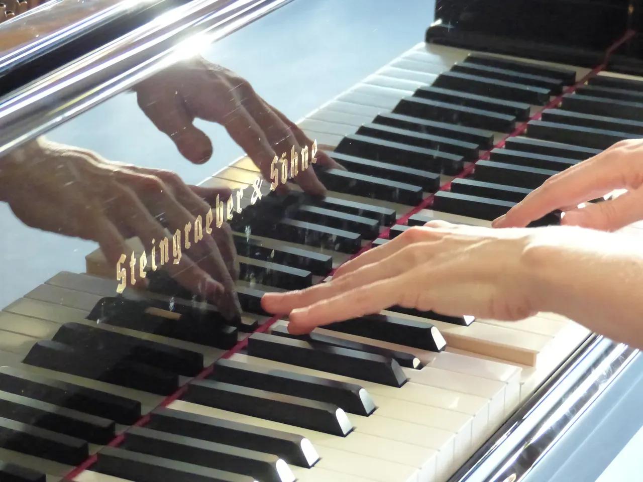 h-nde-am-klavier_steingraeber_-foto-lucas-hengelhaupt-jpg