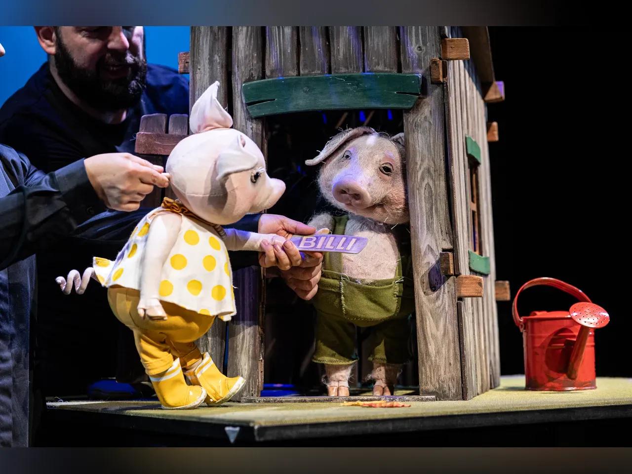 kp-zillibilliwilli-17