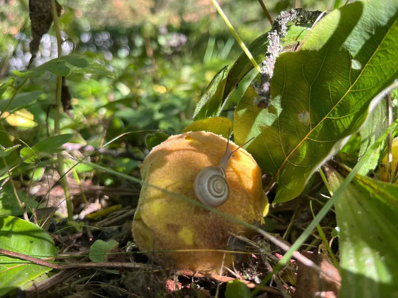 whatsapp-image-2025-11-20-at-14-22-41-jpeg