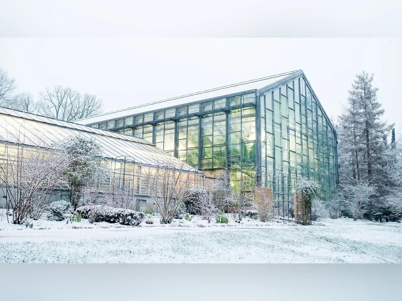 Botanischer Garten Jena im Schnee