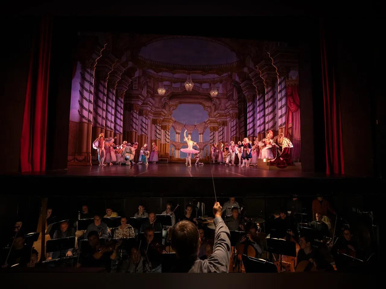 hp-dornro%CC%88schen-3284.web