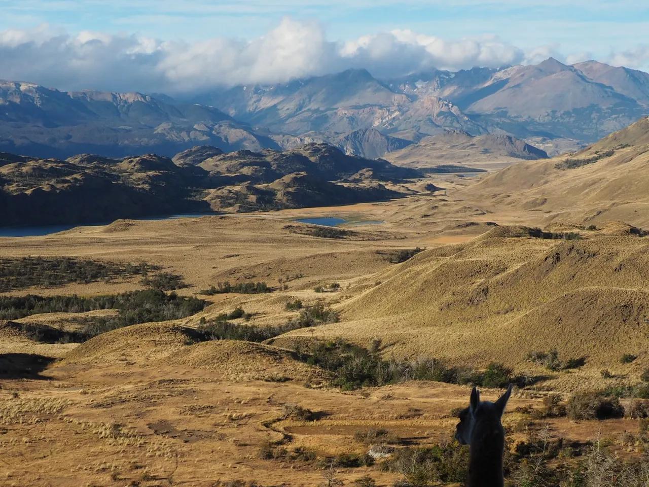 Sharepic Patagonien5