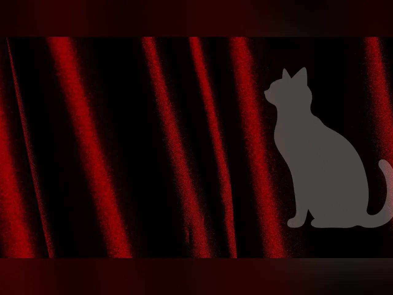 Silhouette einer Katze vor einem roten Vorhang