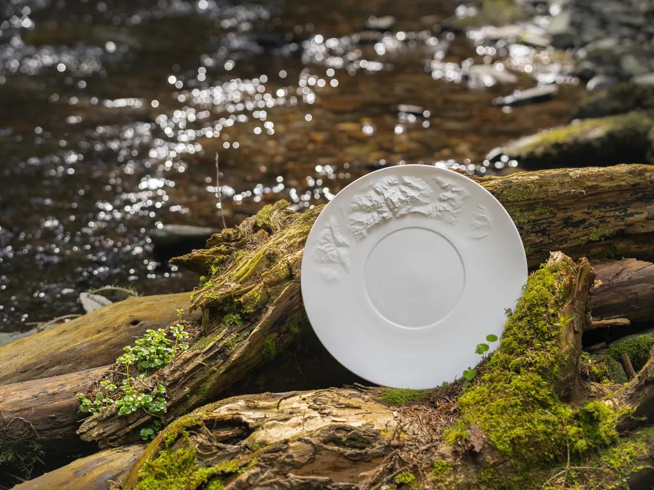 Reichenbach Porzellan Bergeteller