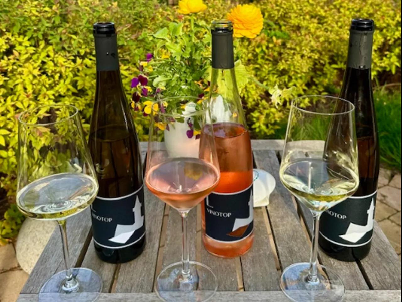 Jungweinausschank im Weinberg c Caterina Leichsering