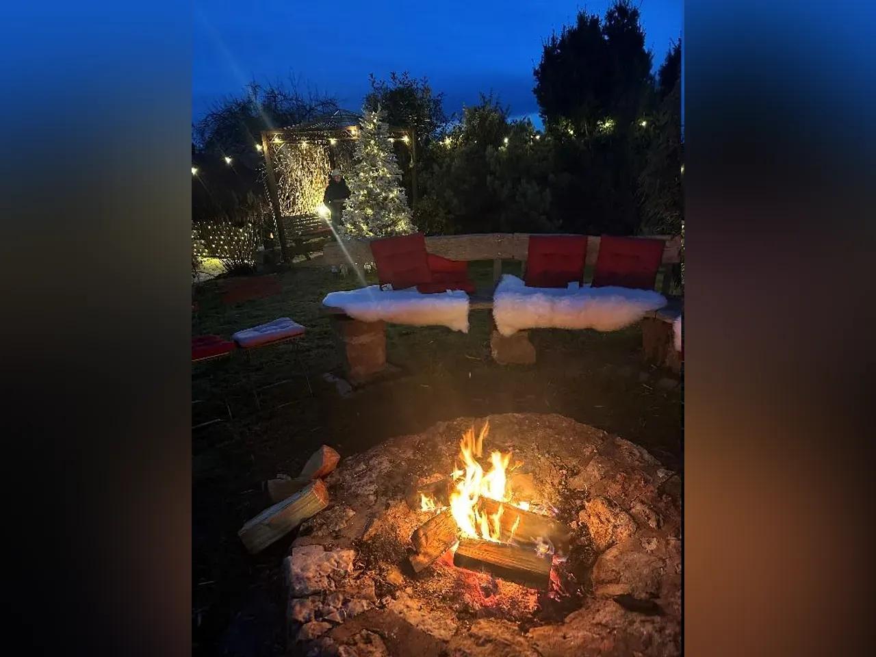 Schneeglühen im Weinberg 2