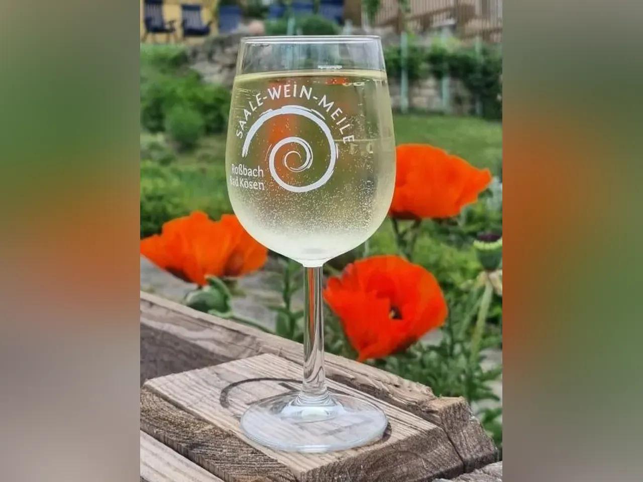 Saale- Weinmeile Bad Kösen-Roßbach 2