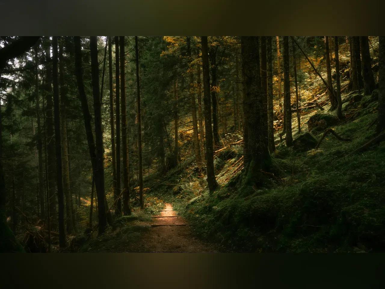 pexels-derek-sutton-562260809-16806202-jpg