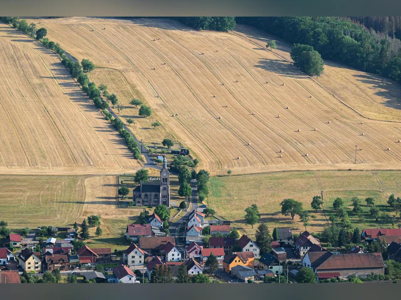 pexels-karl-knips-2149766558-30801361-jpg