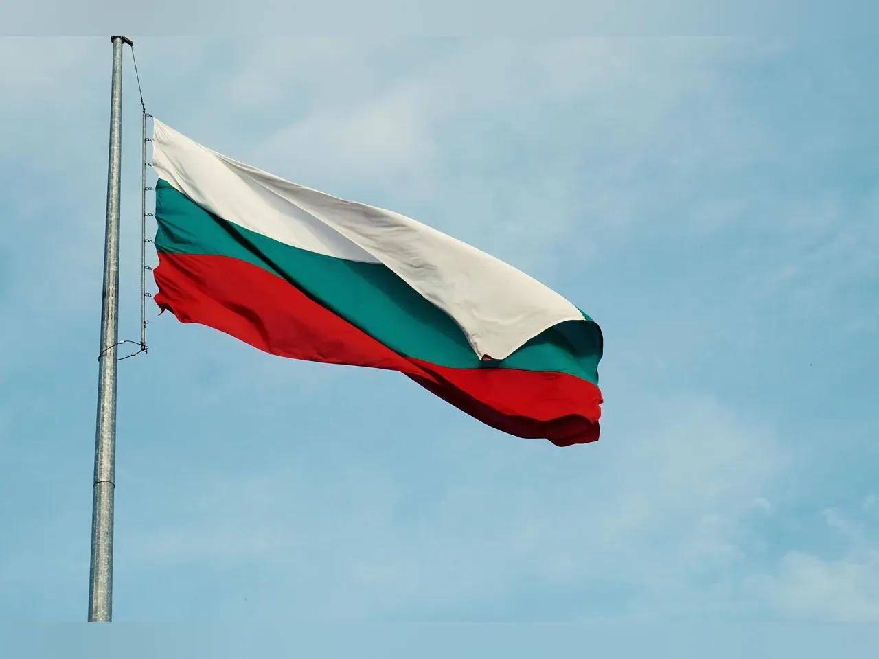 pexels-farfalina-7485857-jpg