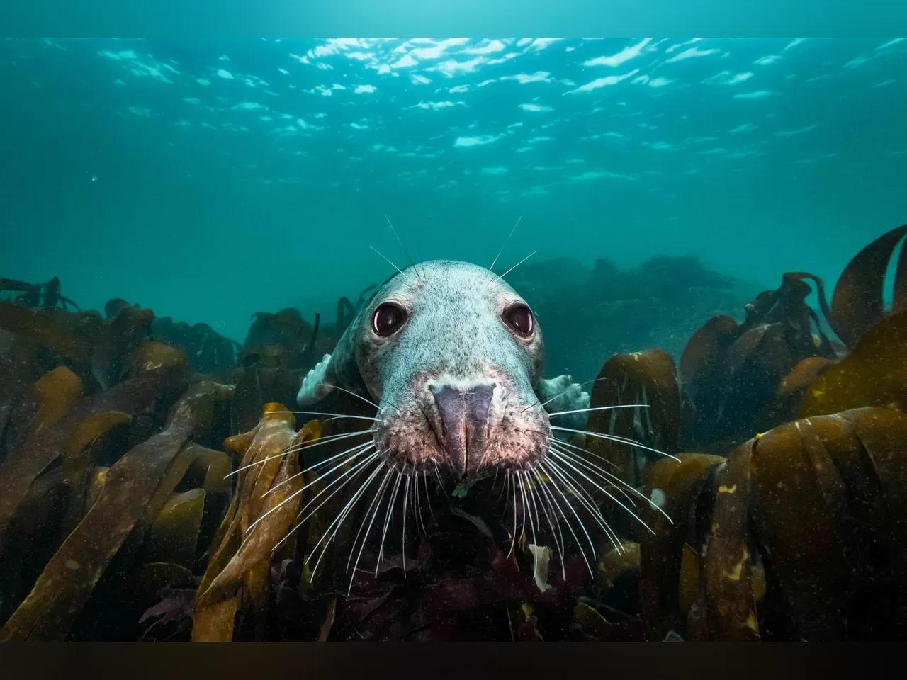 De Wilde Noordzee - JVU_7832 - ©Dutch Maritime Productions - Joost van Uffelen