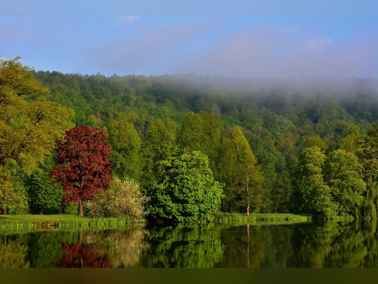 jggrz-park-lake-4218735-jpg