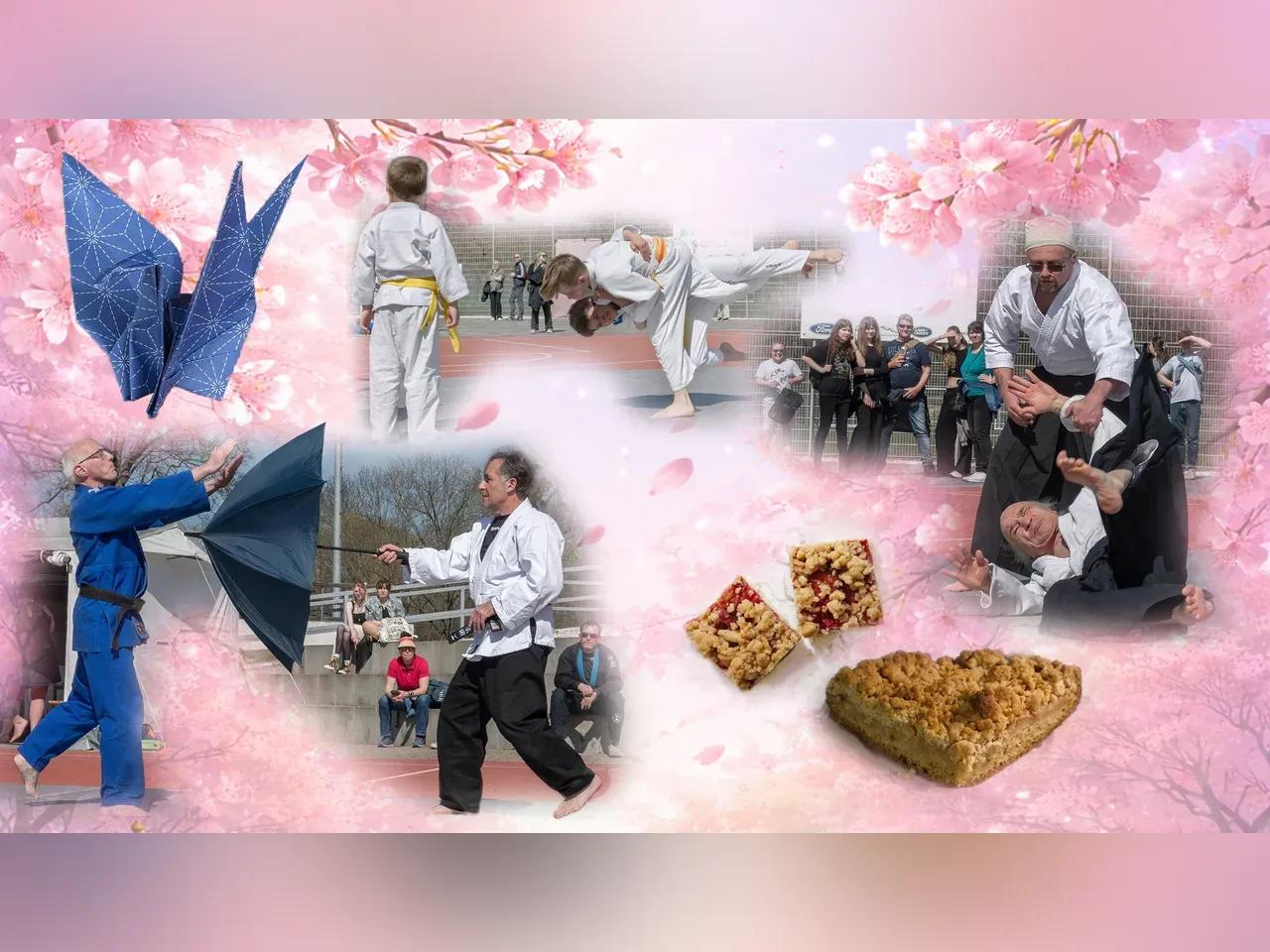 Collage mit Kirschblüten, Kampfsport, Kuchen, Origami