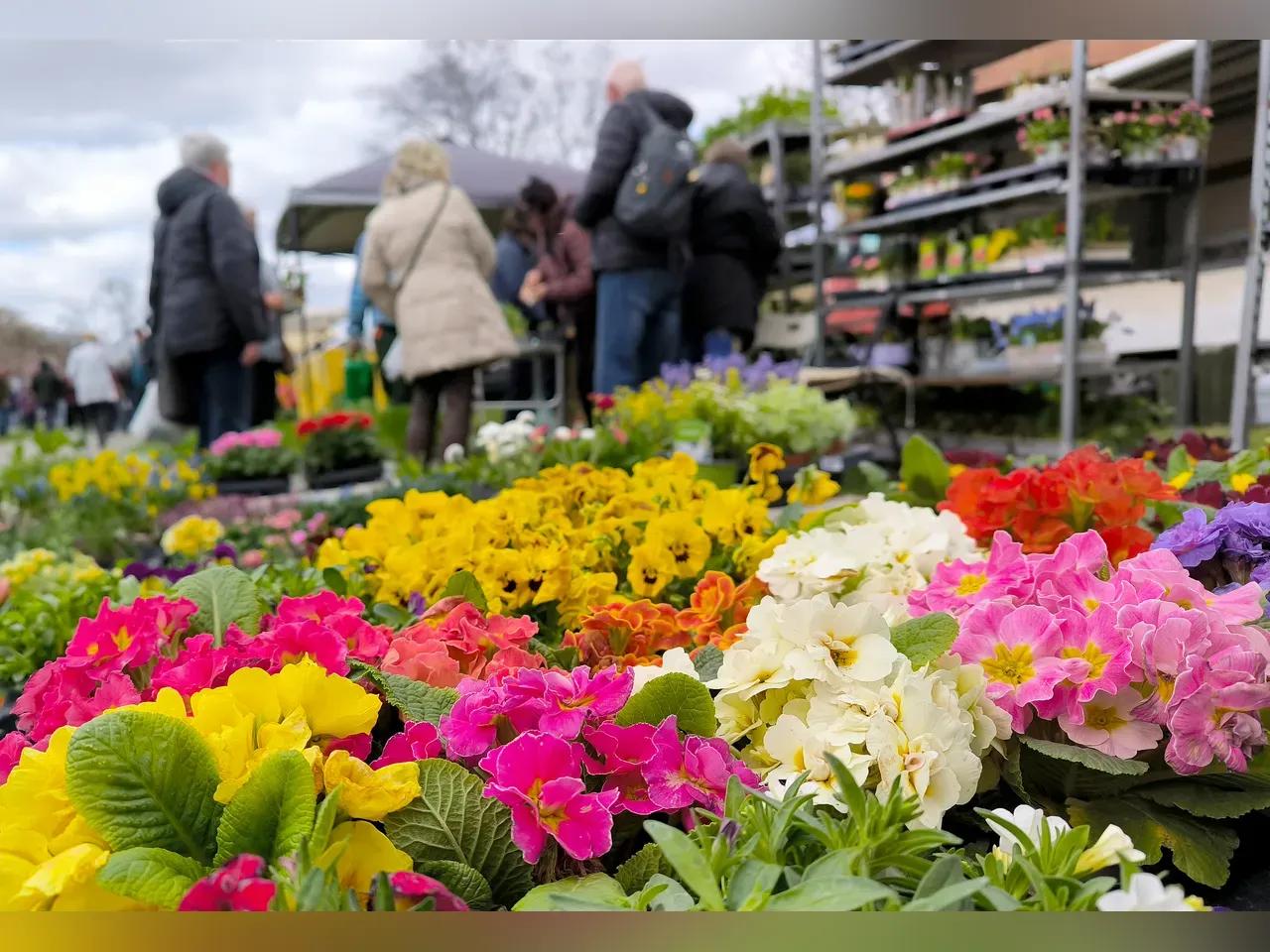 foto-23-fr-hlingsmarkt-c-stadt-zeitz-lars-werner-jpg