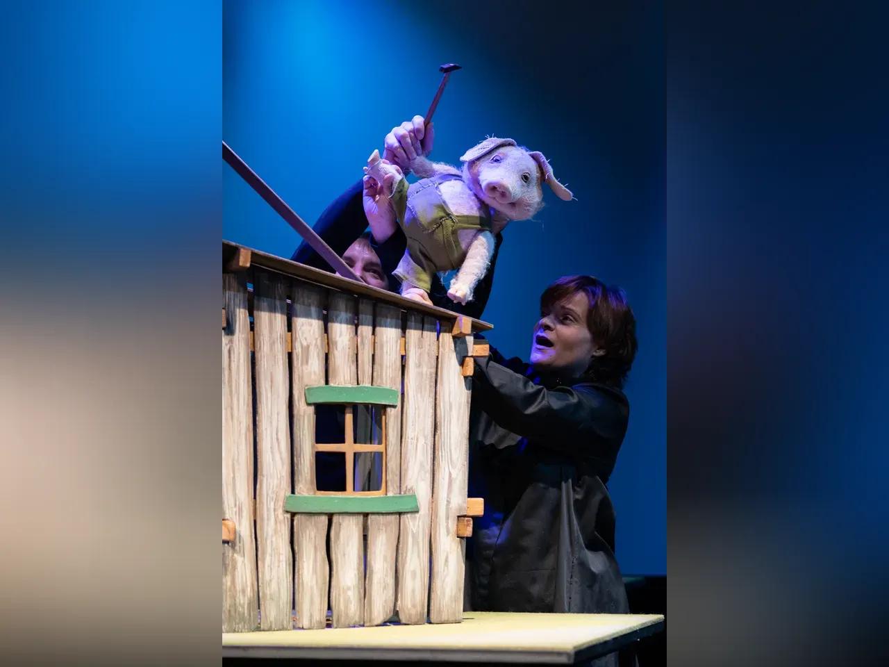 kp-zillibilliwilli-20