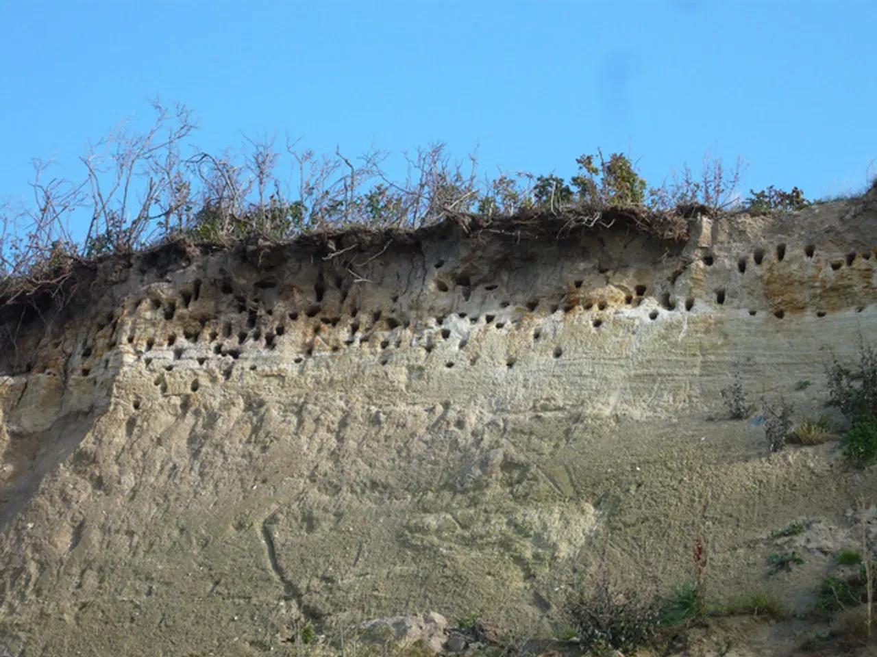 ahrenshoop_hohes-ufer-jpeg