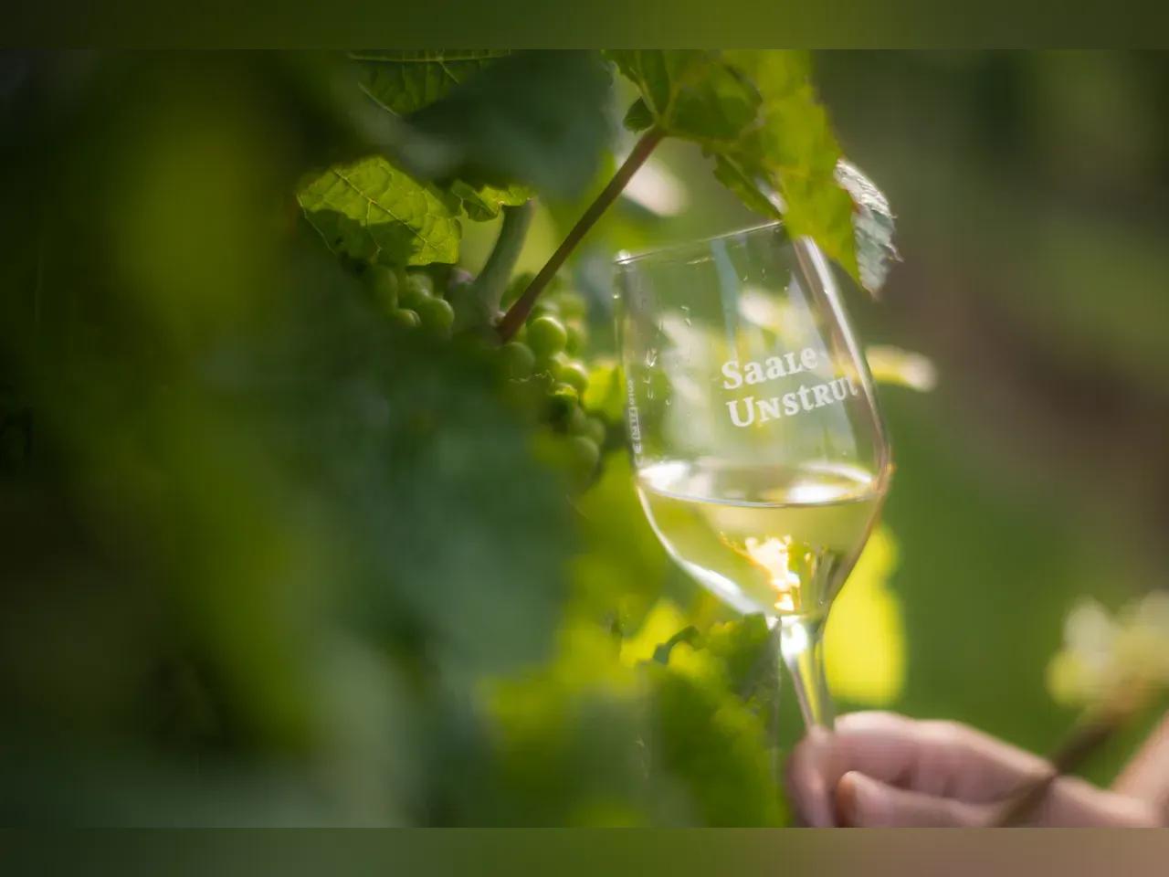 20210723_h-hnstedt_falko-matte_25-jpg