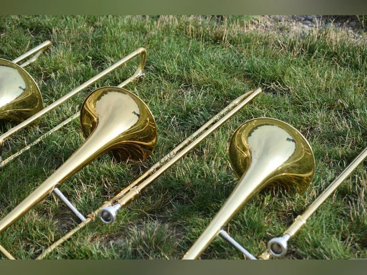 Posaunen auf einer Wiese