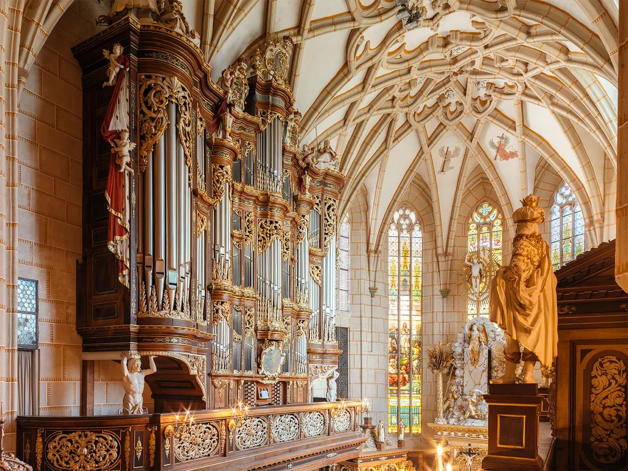 20260413 ECHO for Peace