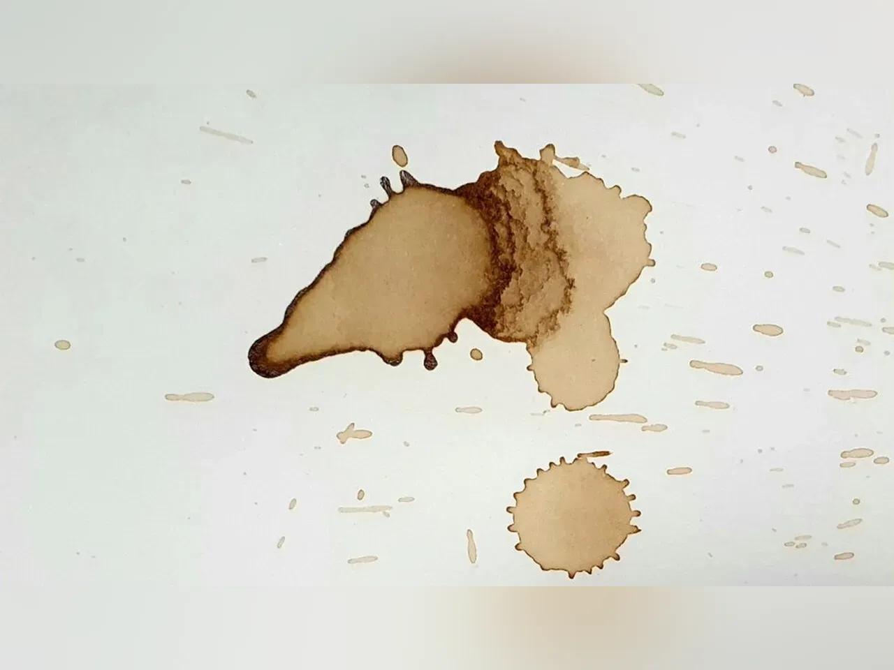 Workshop: Kaffee kreativ