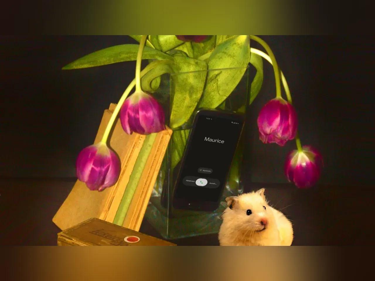 theaterrausch-gott-des-gemetzels-freie-buehne-jena-16-9-jpeg