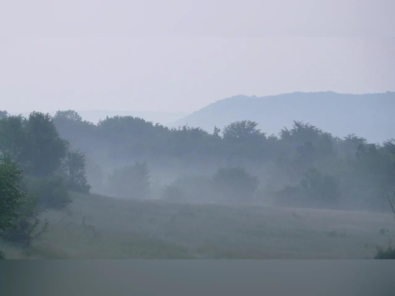1-p1380748-jpg