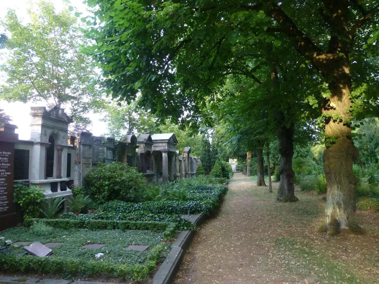 P1300726.jpg