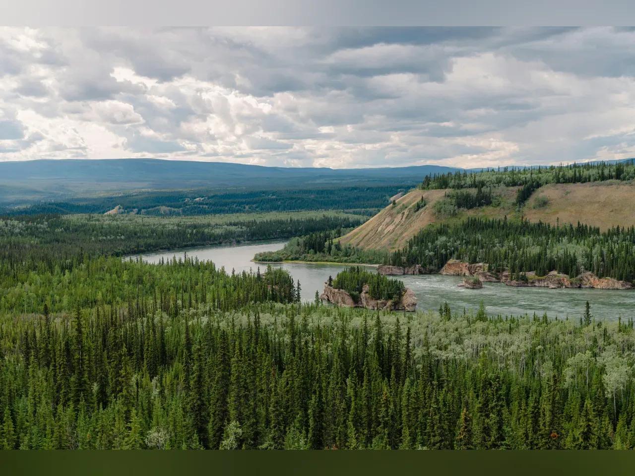 Blick in eine Landschaft mit dem Yukon-River