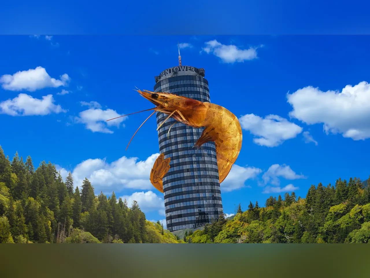 Fotocollage mit einem Shrimp, der auf den JenTower klettert
