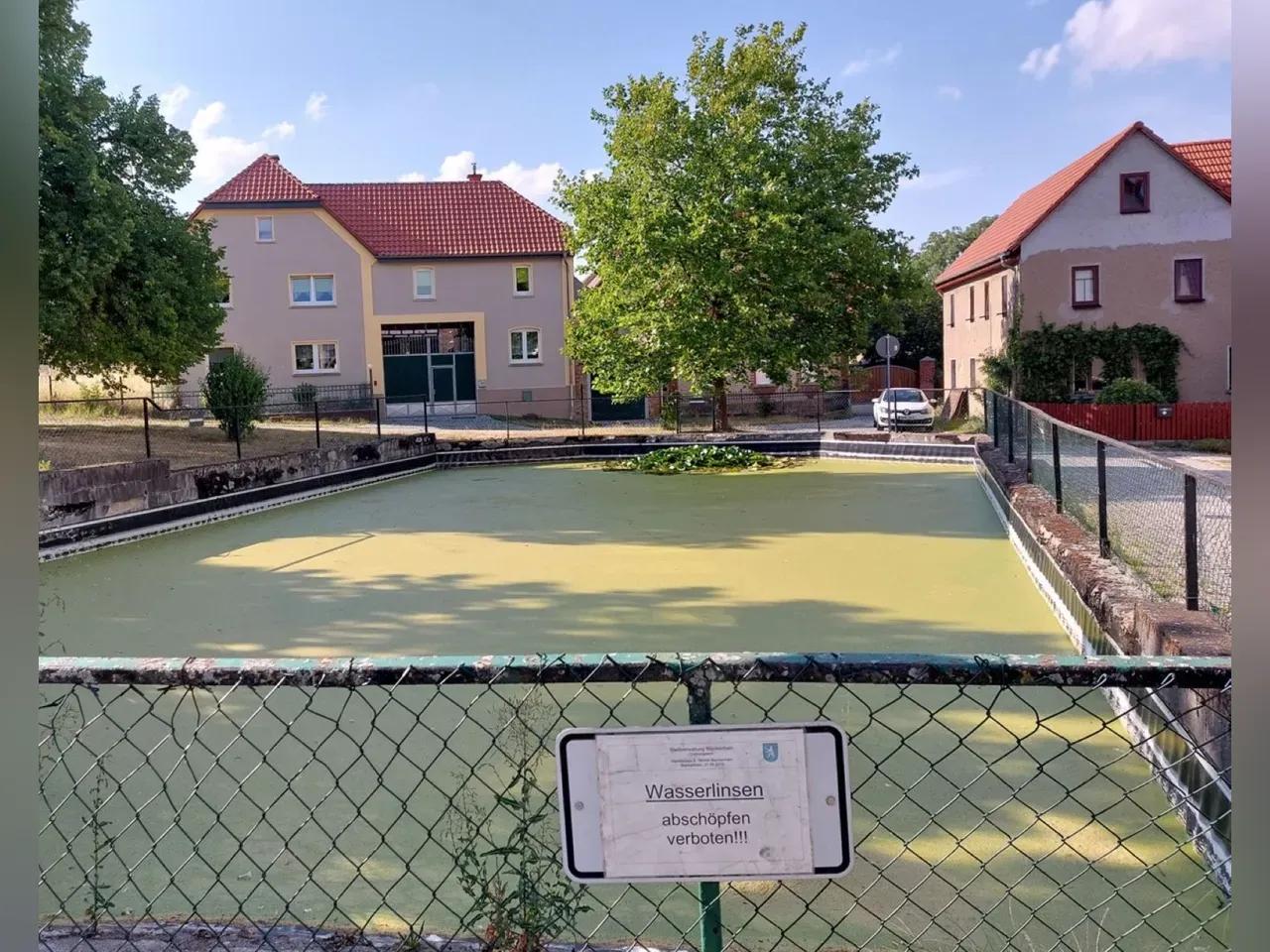 teich-mit-wasserlinsen-bei-gro-lohma-jpg