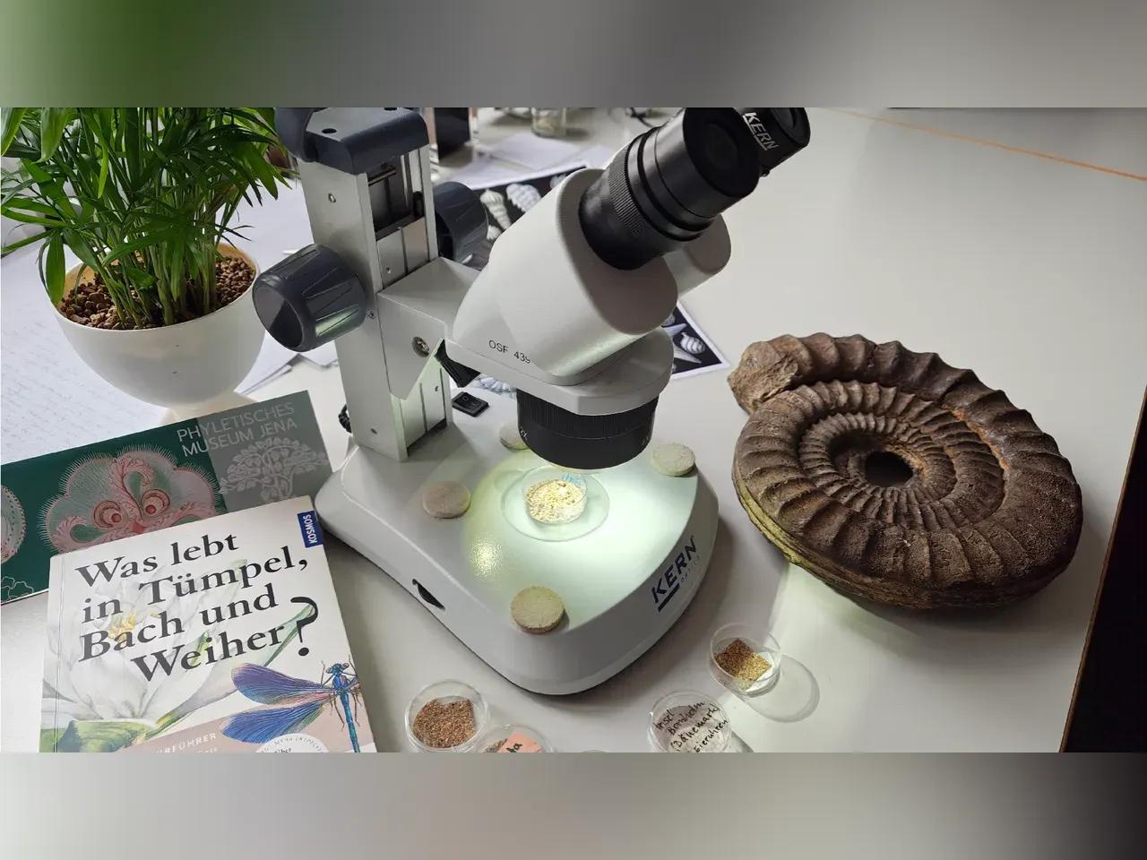 Mikroskop mit verschiedenen Objekten