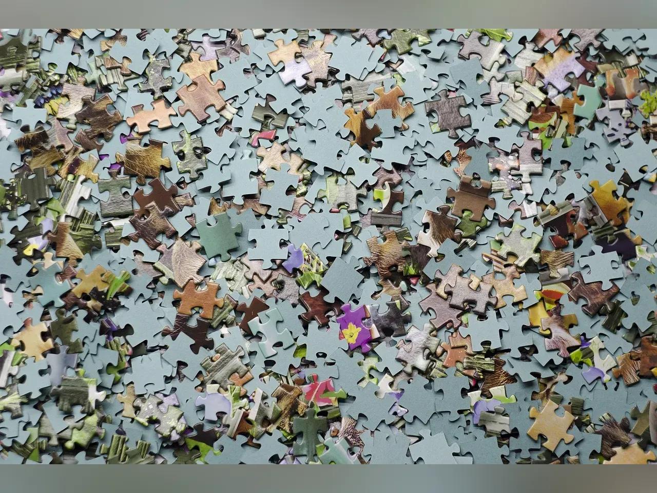 puzzletauschb-rse