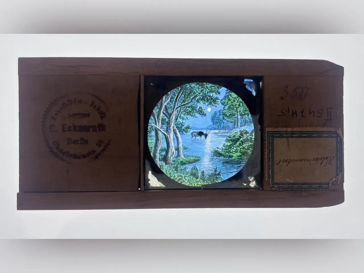 Glasbild 'Waldeinsamkeit' - Wald mit einem See in der Mitte bei Mondschein, in der Mitte des Sees ist ein Hirsch zu sehen
